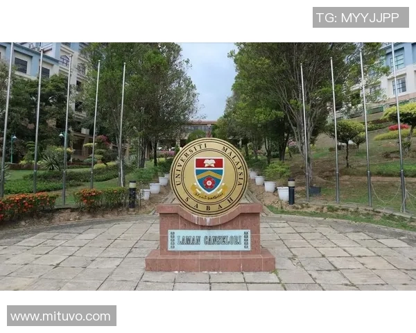 马来西亚大学与沙巴的学术竞争与发展前景分析