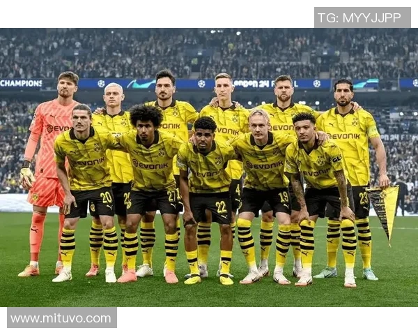 多特蒙德球迷暴力事件引发欧冠禁赛与巨额罚款风波