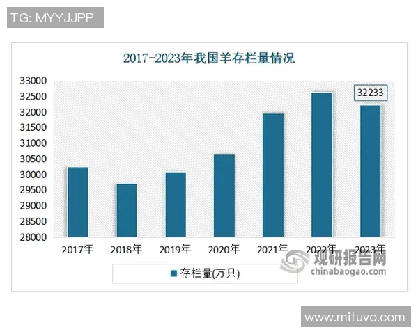 广州排球队团队协作深度分析与其他球队的对比研究
