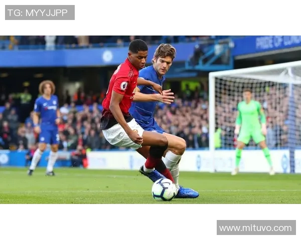 成都滑板队区域防守分析与战术调整探讨