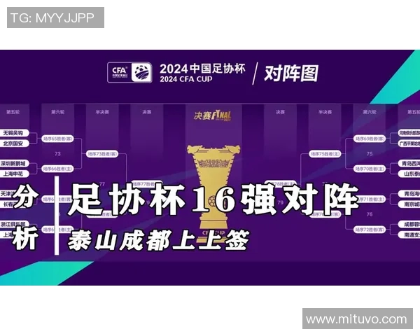 足协杯激战前瞻泰达与申花谁能笑到最后争夺荣誉之战