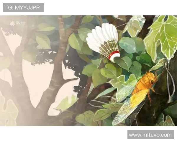 与羽毛球女神杨丽的对话：回顾她辉煌的羽毛球生涯与心路历程